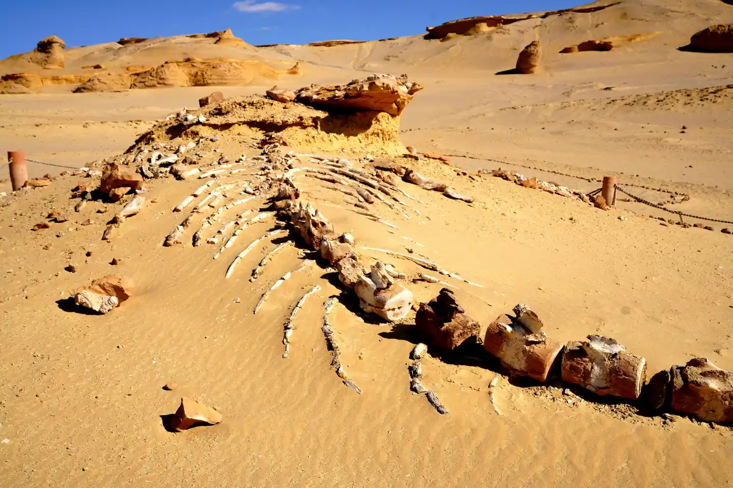 Hidden Gems in Abu Dhabi