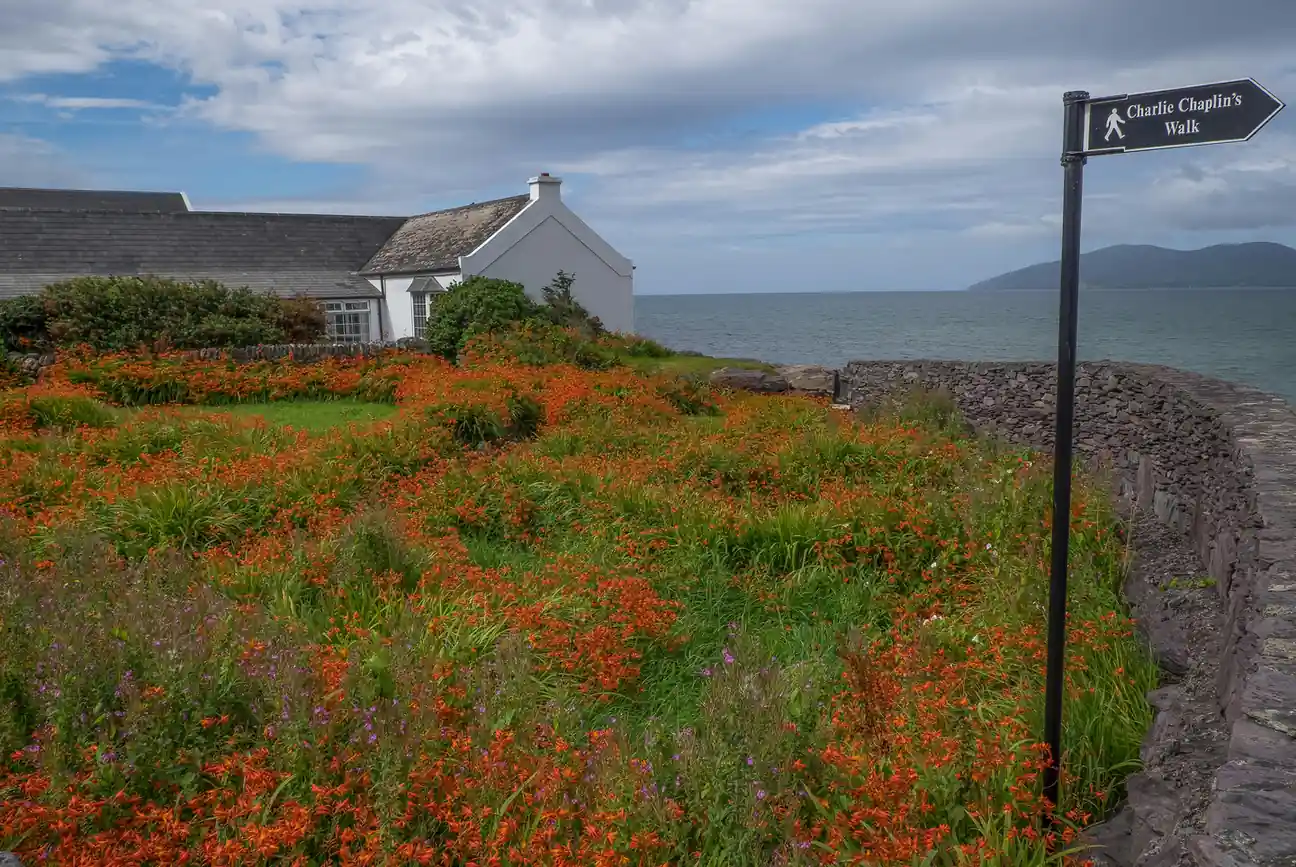 Activities to Do in Ireland 