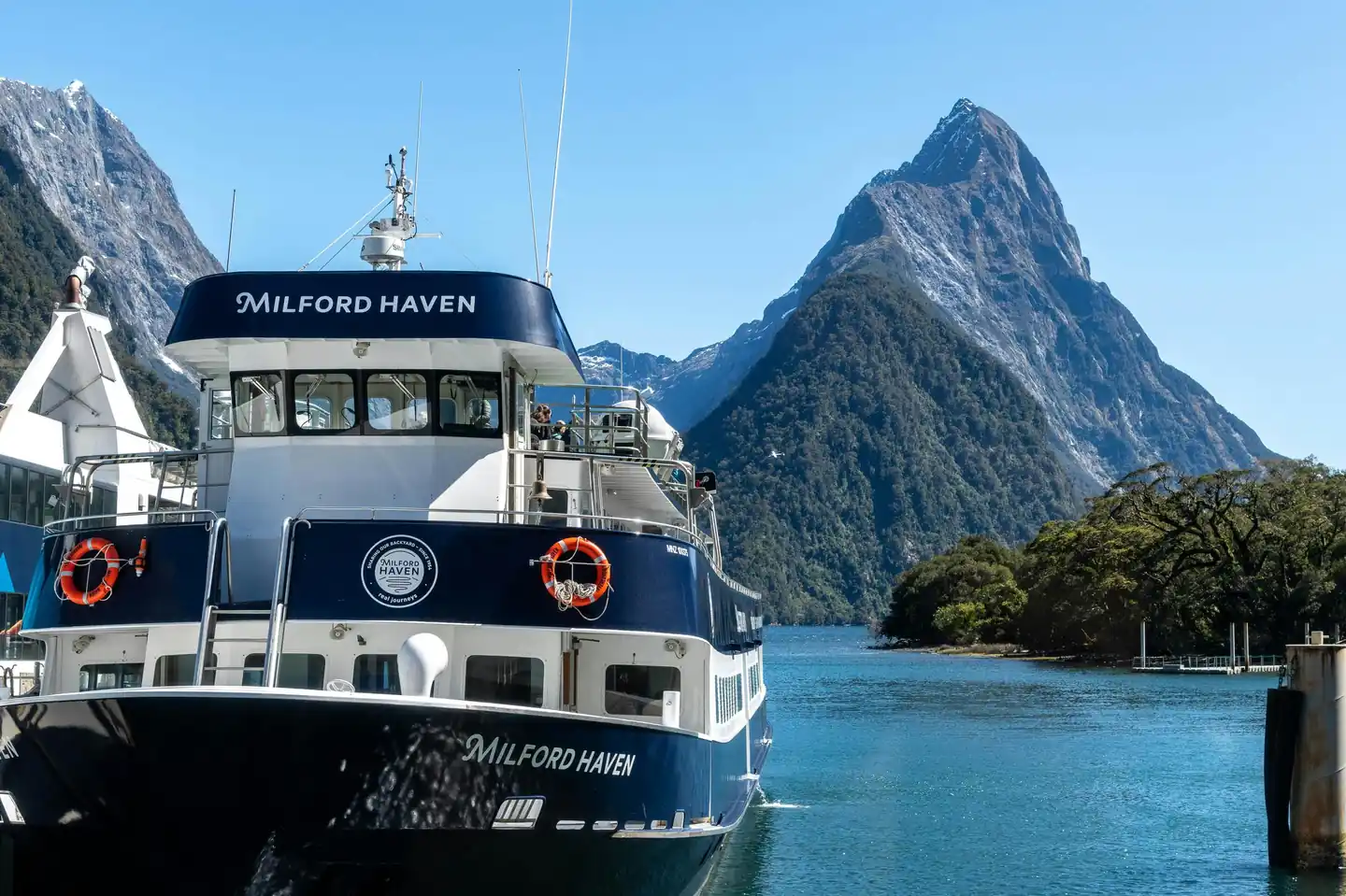 Experience Milford Sound on Cruise