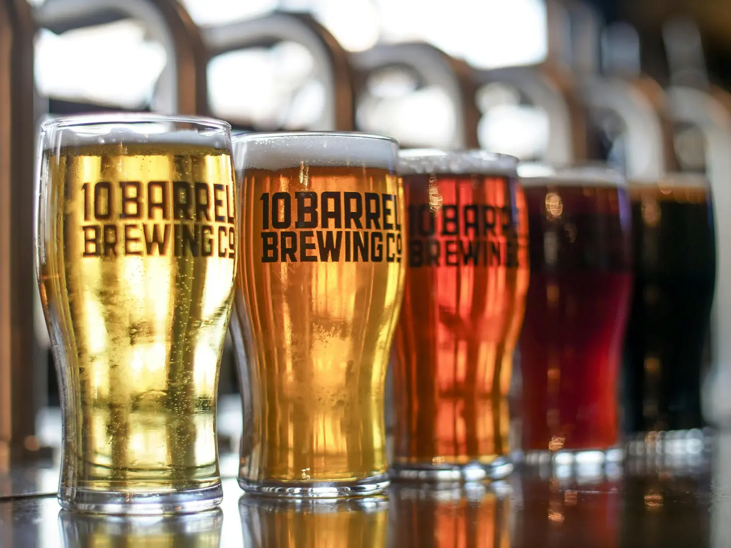 Taste Local Craft