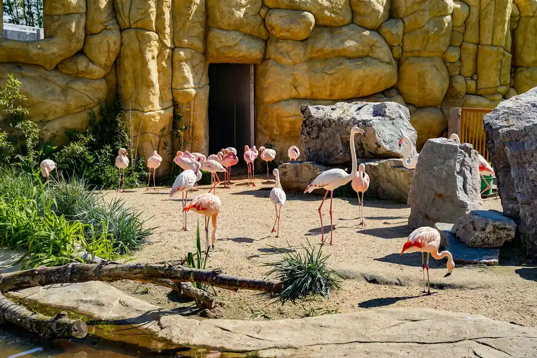 10. Visit the Bratislava Zoo