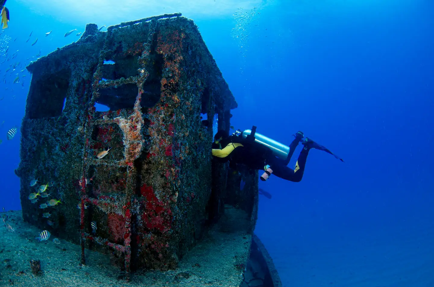 11. Amini Beach: For Scuba Diving and More - Lakshadweep