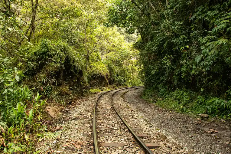 Jungle Railway Adventure - Things to do in Malaysia