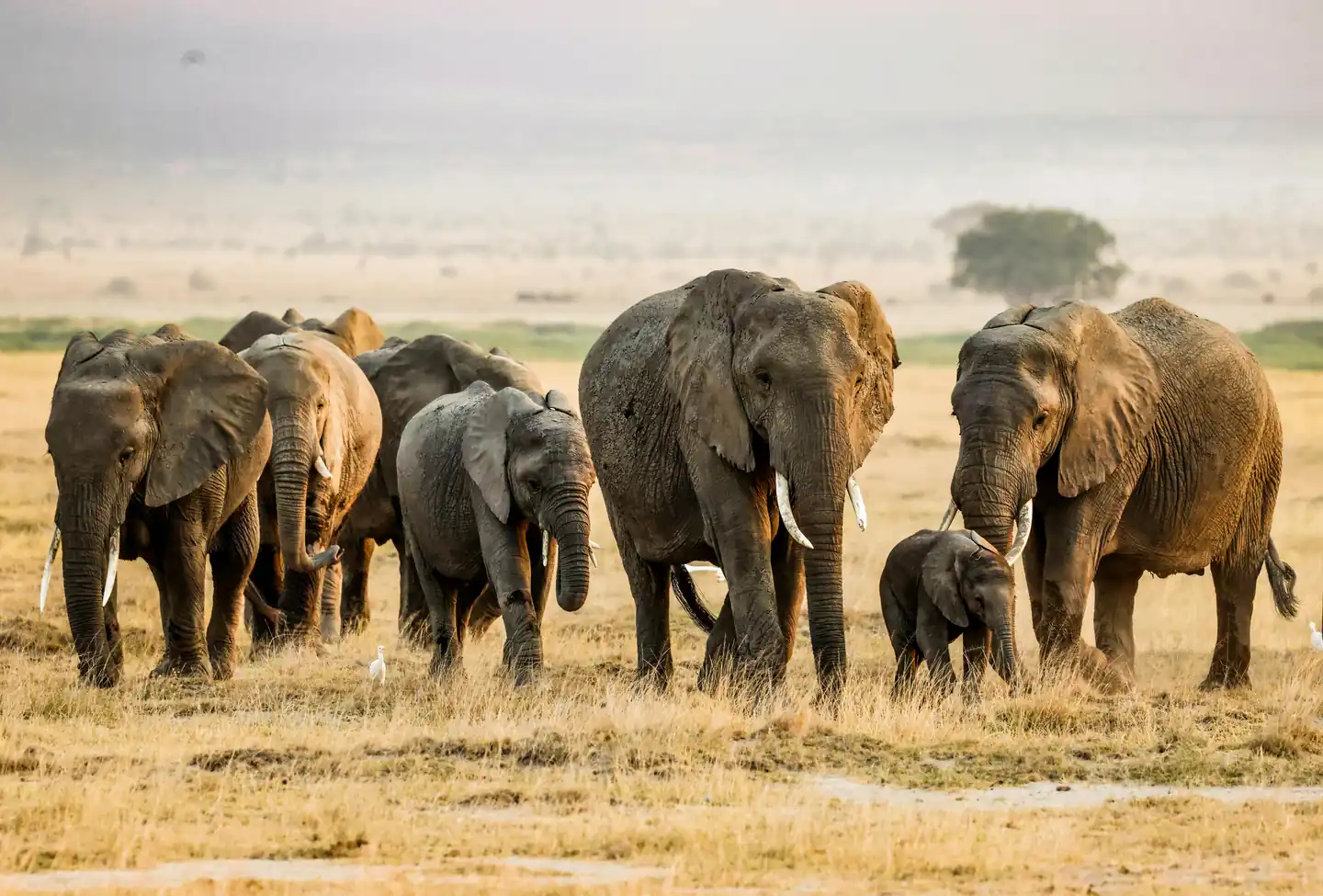 Places to Visit in Kenya 