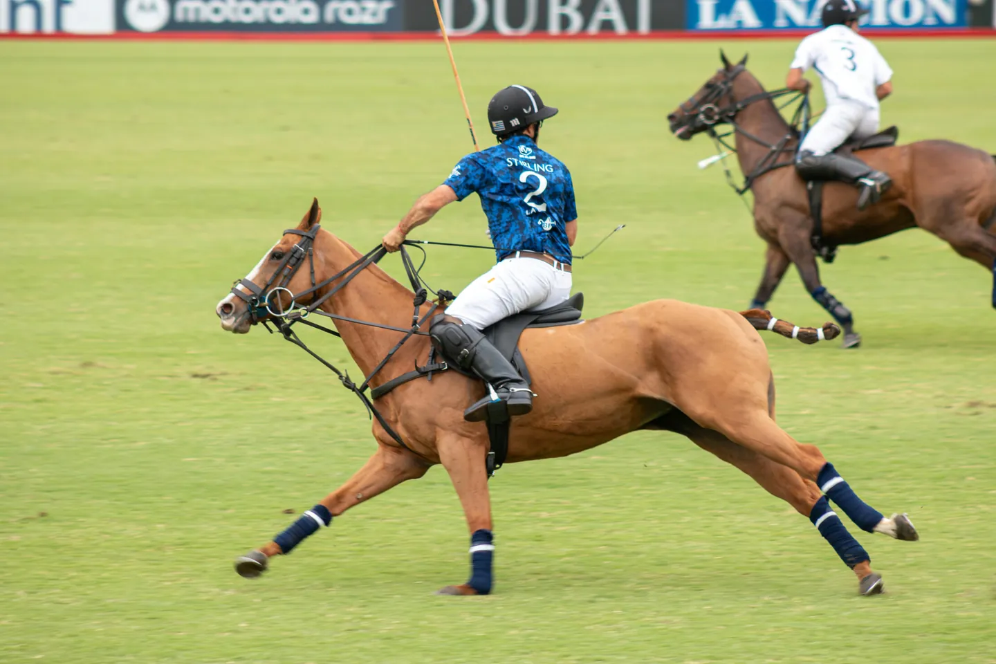 Places to Try Horse Riding in Dubai