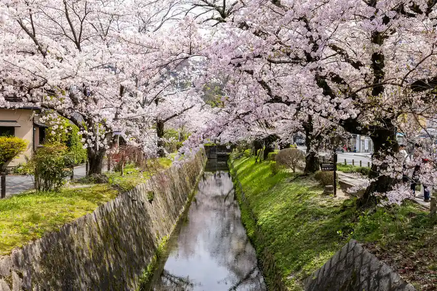 Kyoto – Maruyama Park & Philosopher’s Path