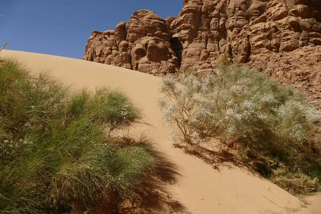 Breathtaking Places in the UAE
