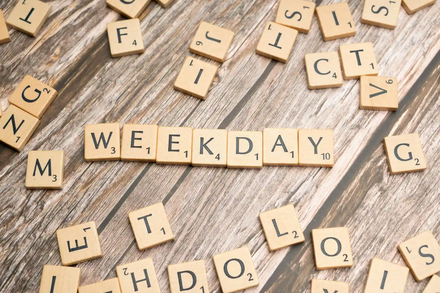 Weekdays (Monday to Thursday) - ZOO NEGARA