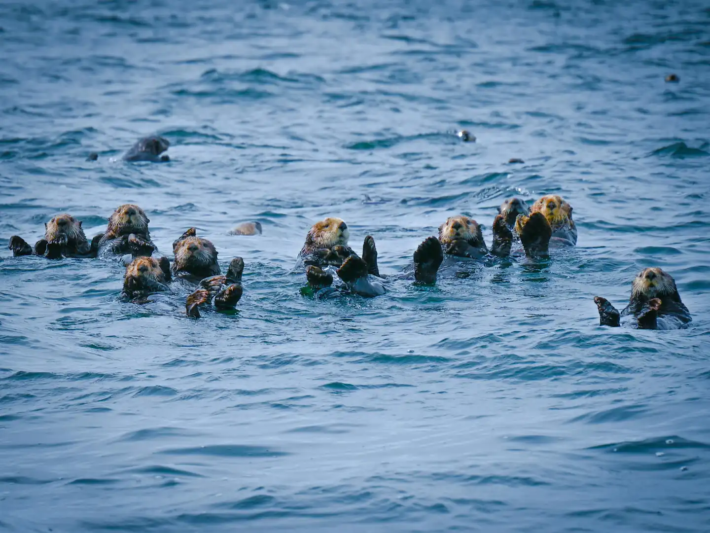 Tofino - Canada's Top 9 Adventure Destinations