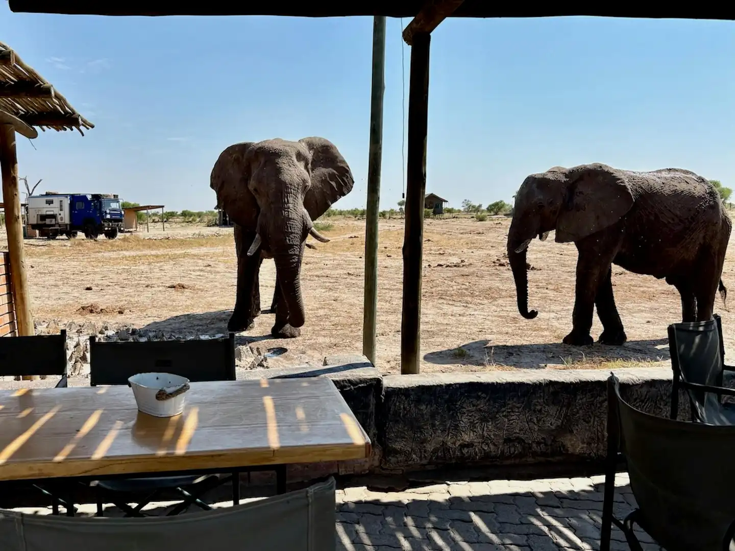 Dubare Elephant Camp – Wildlife Nature Combined