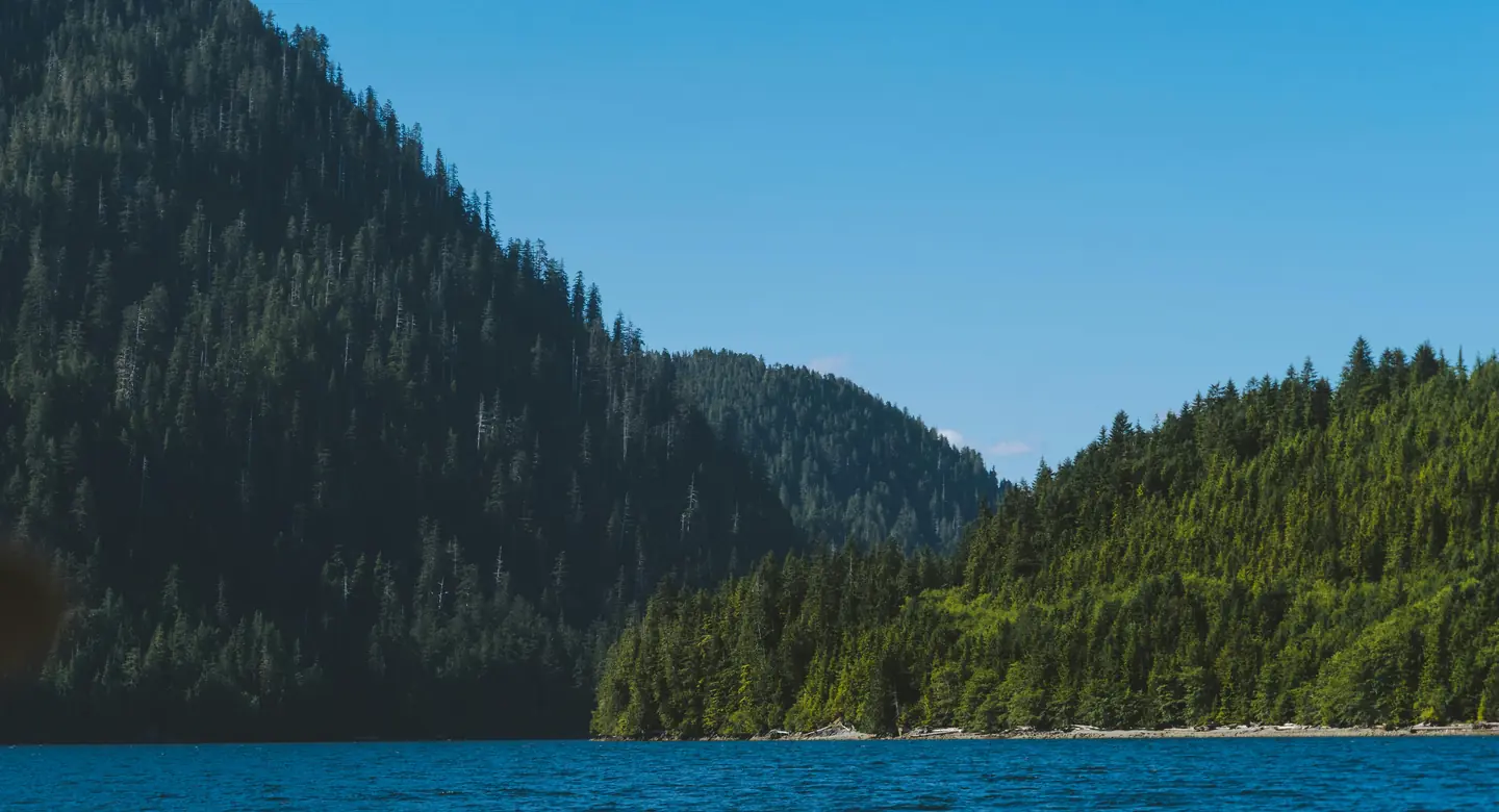 Great Bear Rainforest, British Columbia