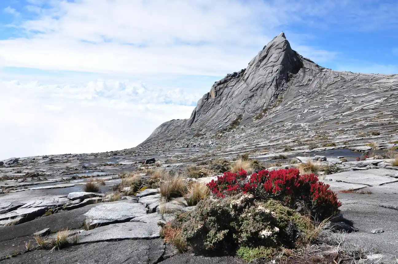 Gunung Mulu National Park