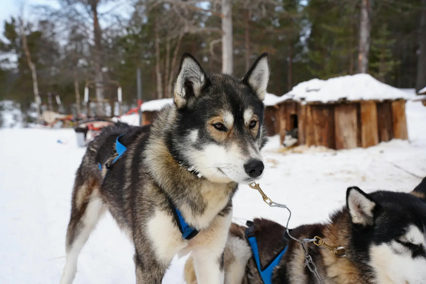 Tourist Attractions in Sweden