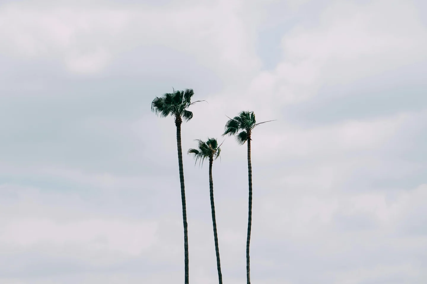 One&Only The Palm
