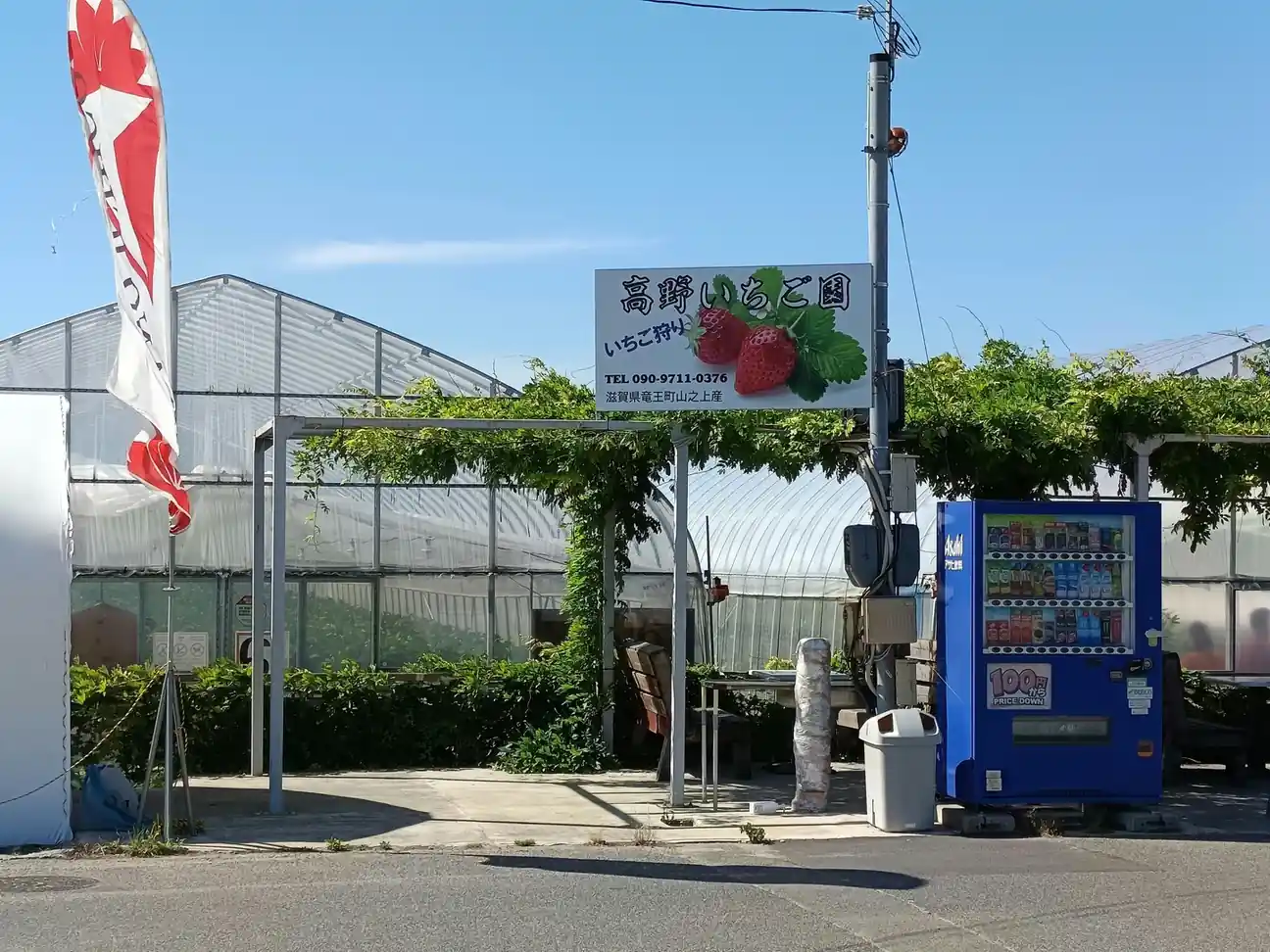 Strawberry Farms