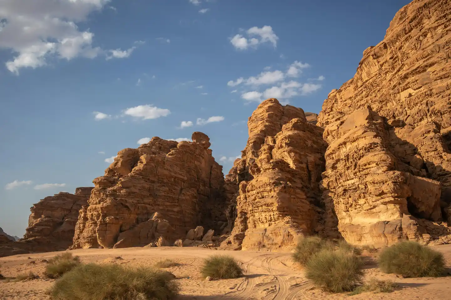 Wadi Wurayah National Park Exploration