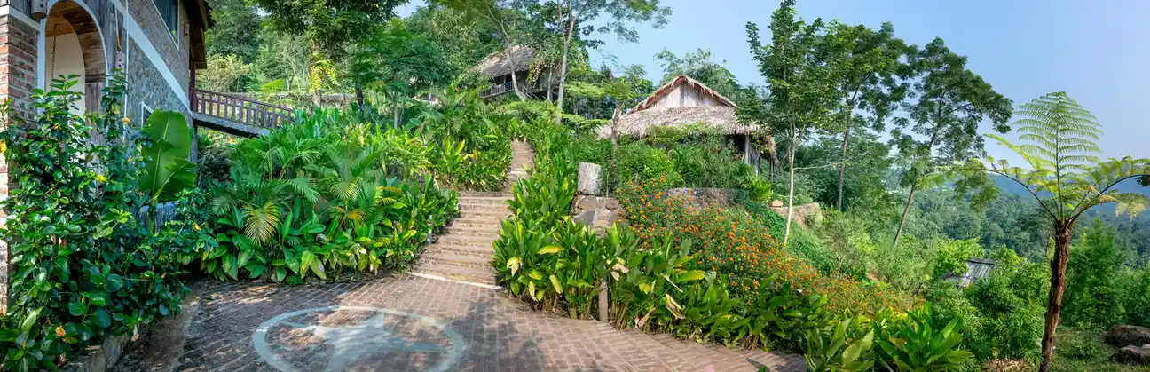 Going on a walk or trek