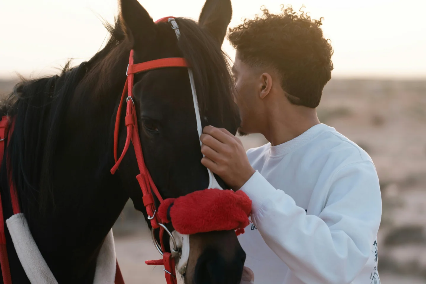 Places to Try Horse Riding in Dubai
