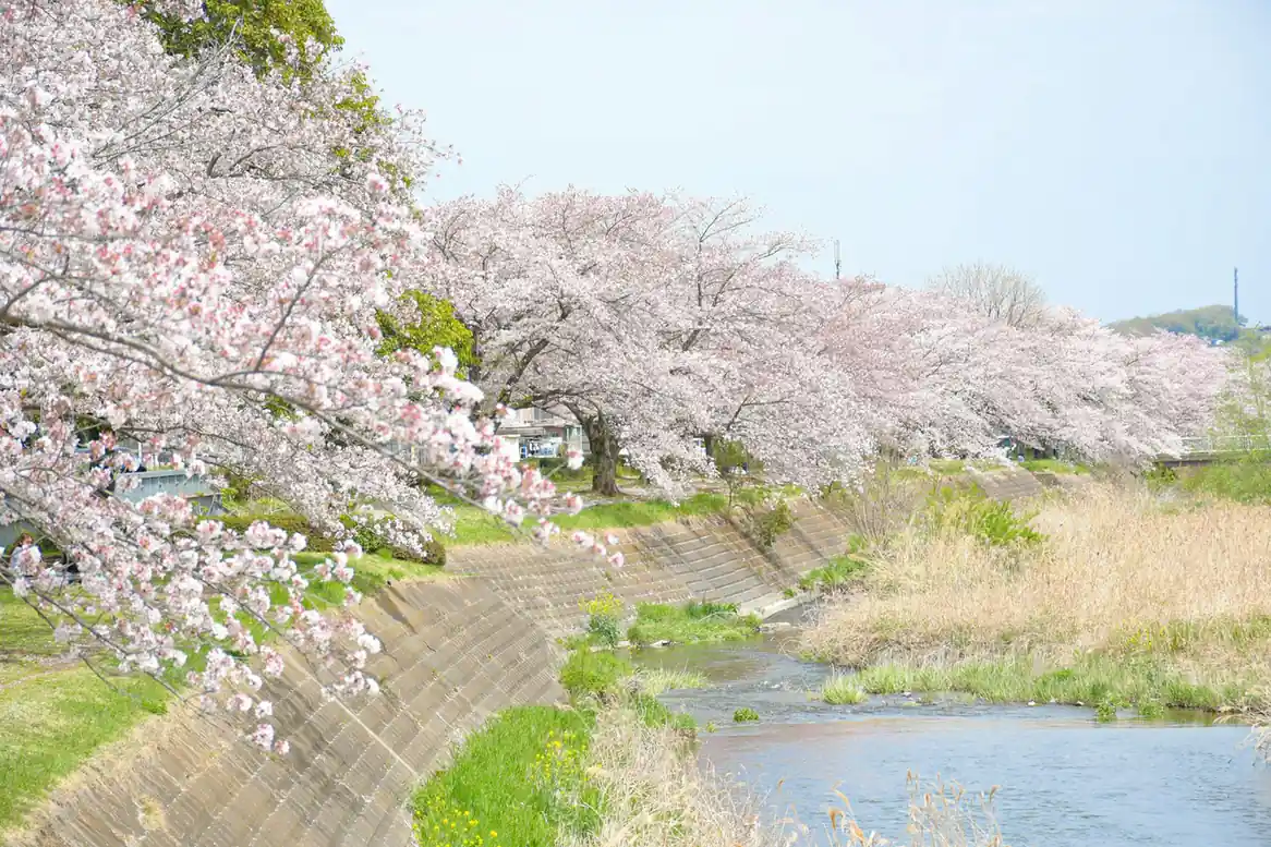 April – Blossoms and Mild Weather