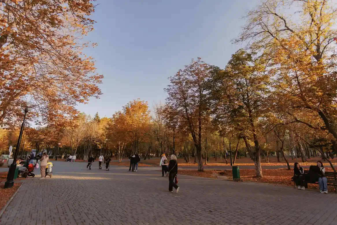 Autumn (September – November): A Perfect Balance