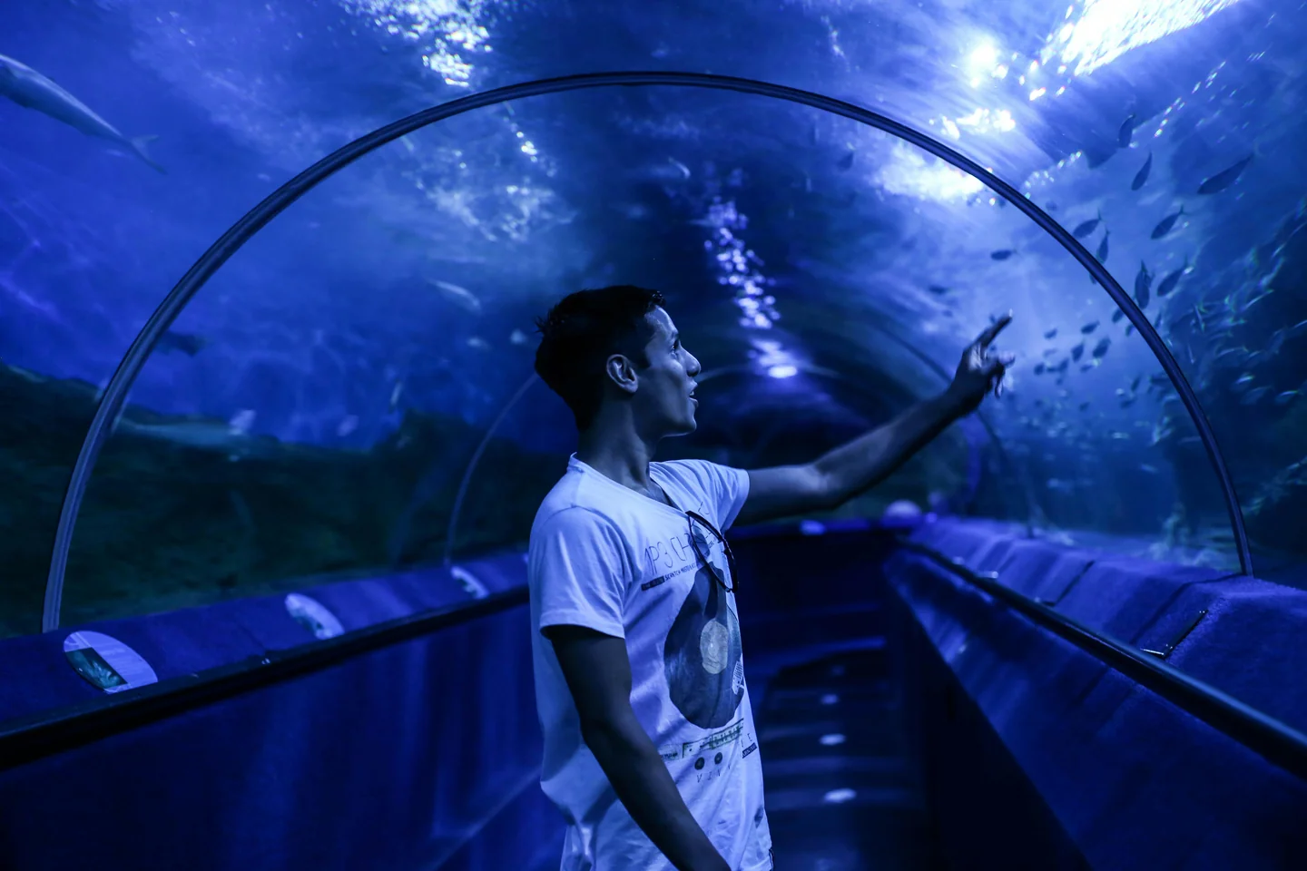 4. Marine Museum: Experience a Meeting with the Submerged Kingdom