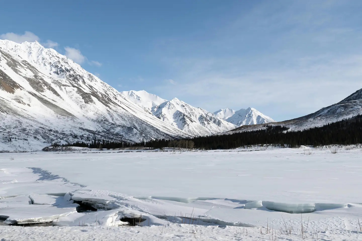 Winter Safari in Alaska