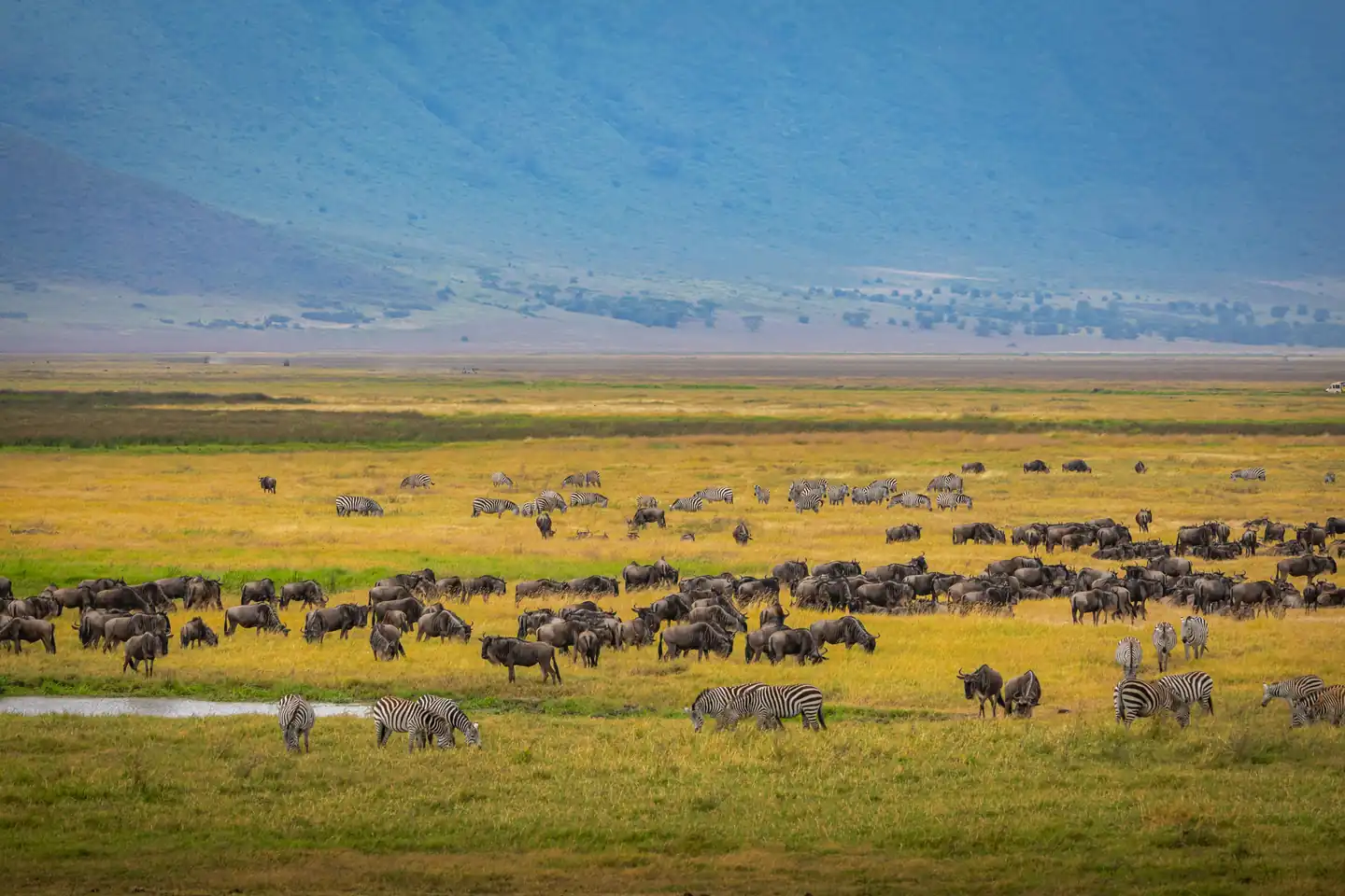 Yala National Park – Safari Adventure in the Wild