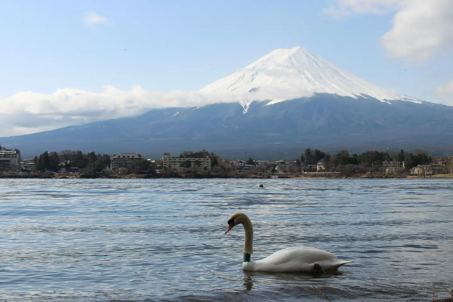 Hokkaido – Matsumae Park