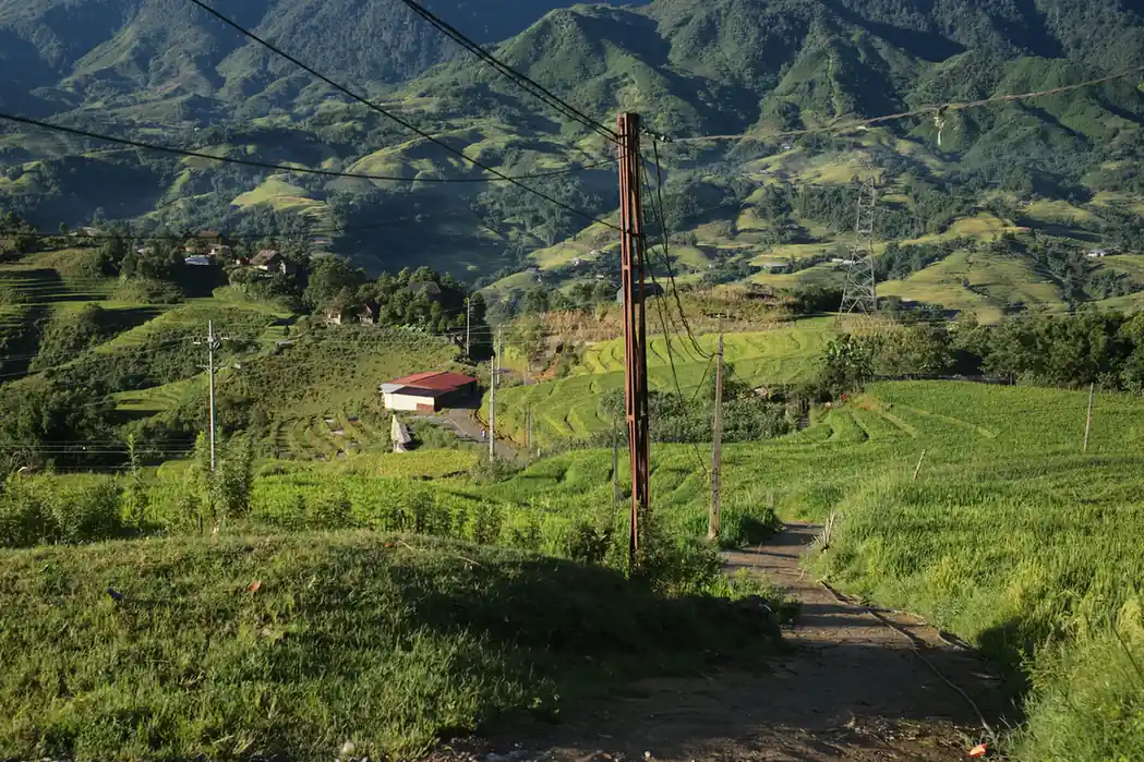 Sapa