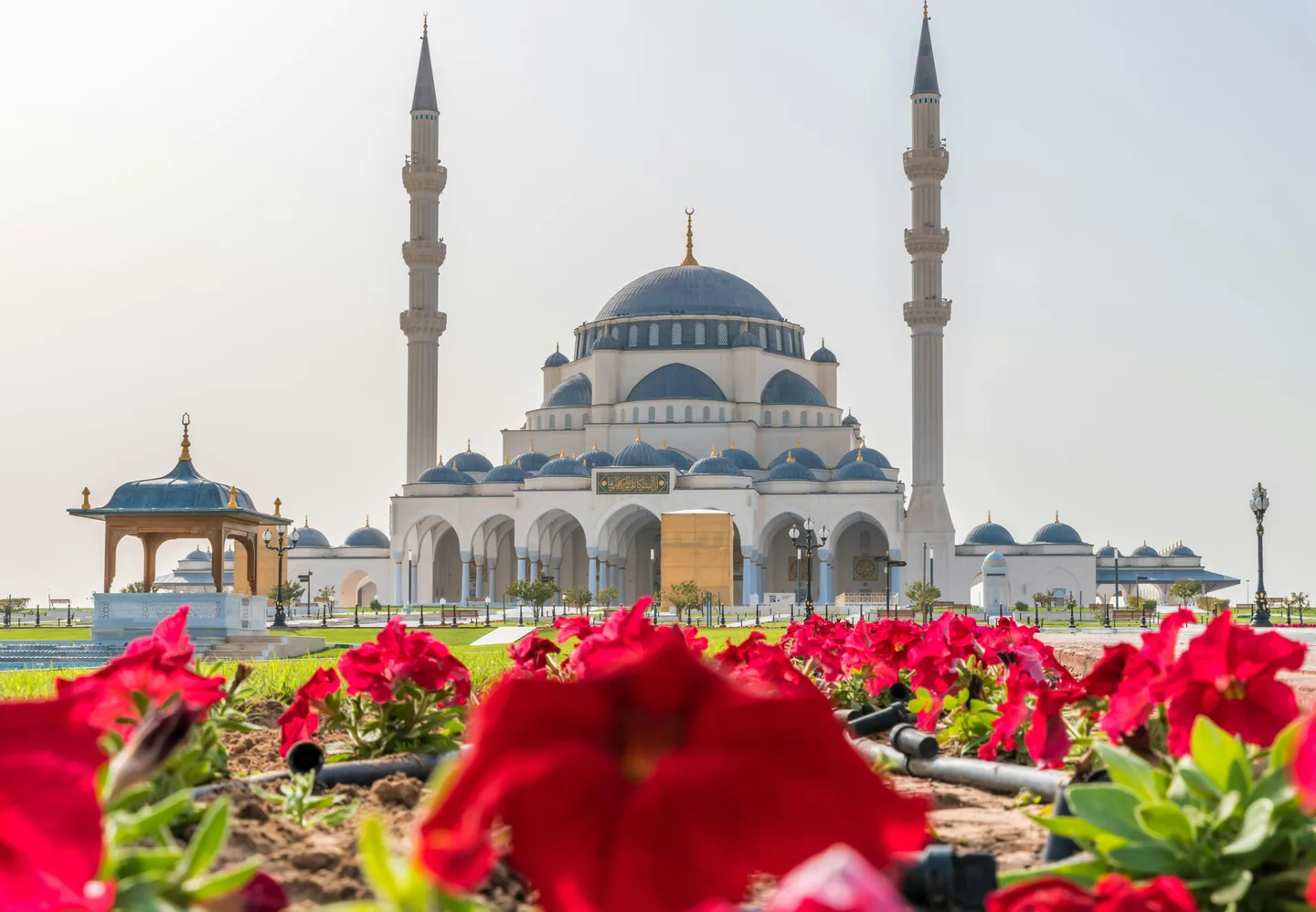 Discover the Heart of Sharjah