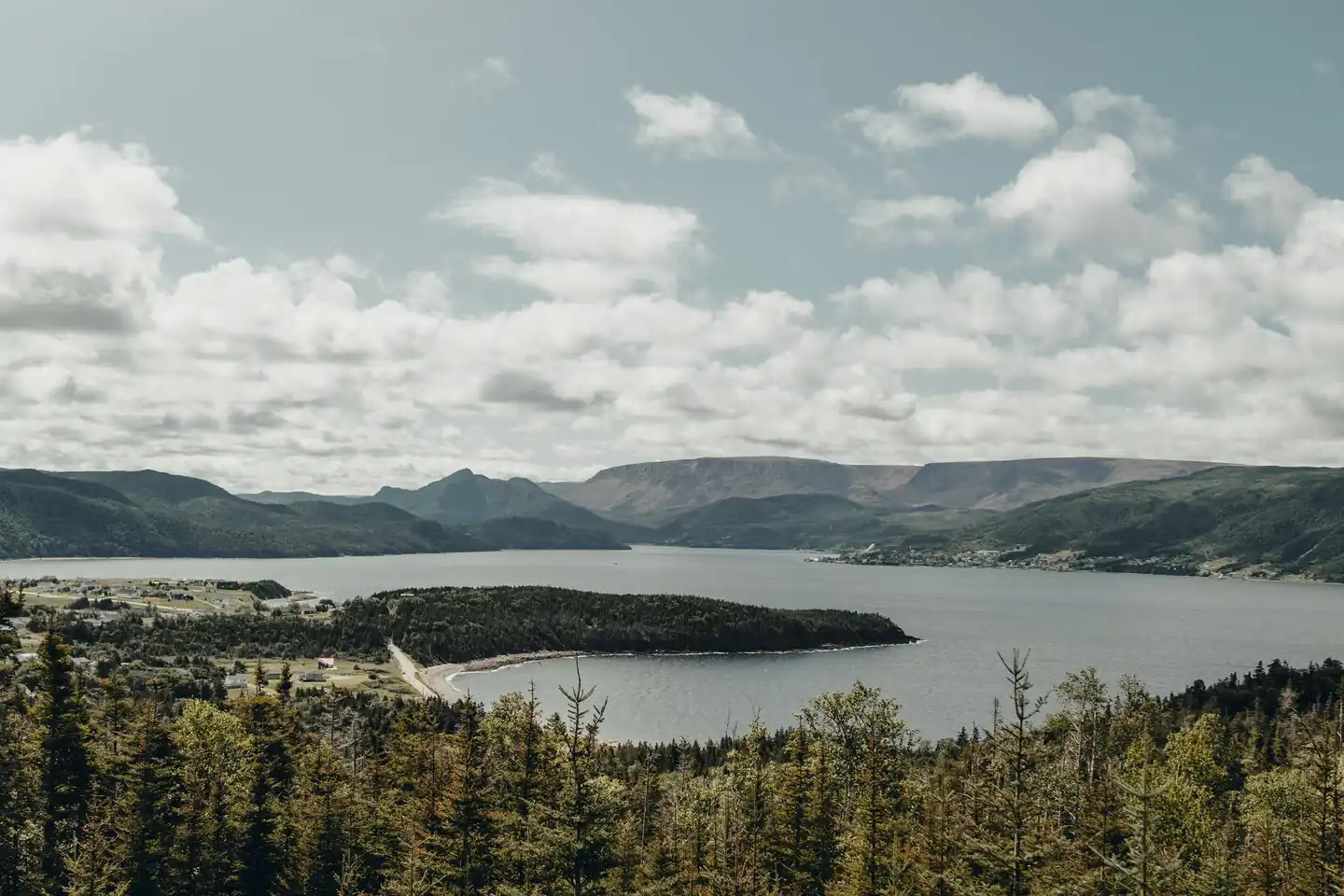Gros Morne National Park, Newfoundland and Labrador - Wildlife