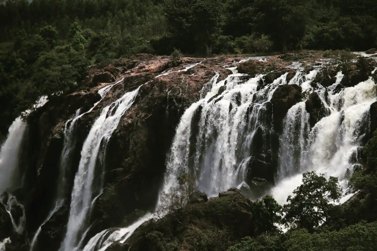 Iruppu Falls – A Serene Waterfall in the Woods