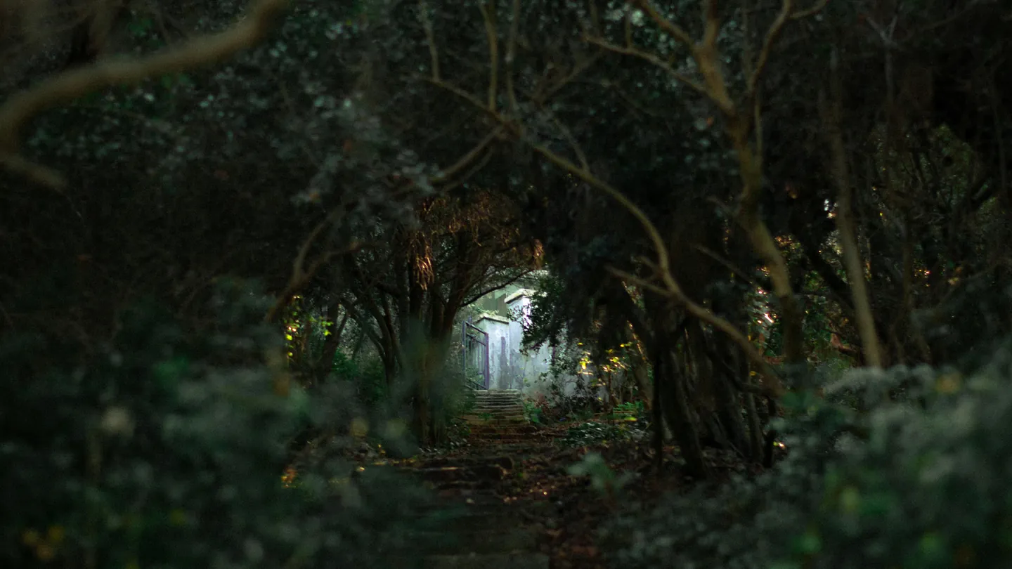 Learn More About the Secret Path to the Guild Park and Gardens