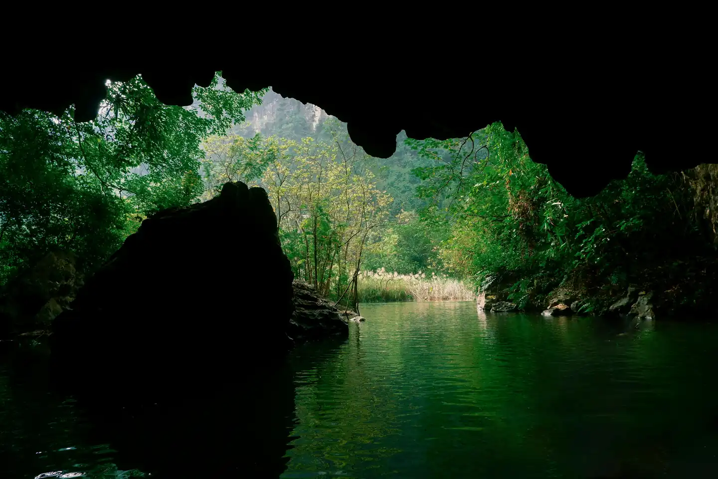 Phong Nha-Kẻ Bàng National Park - Attractions in Vietnam