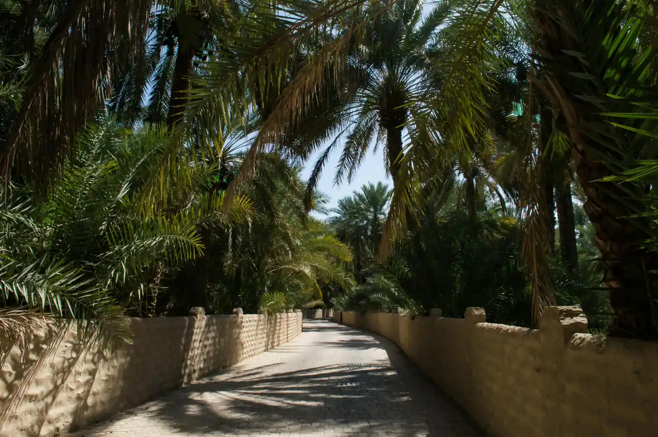 Al Ain Oasis