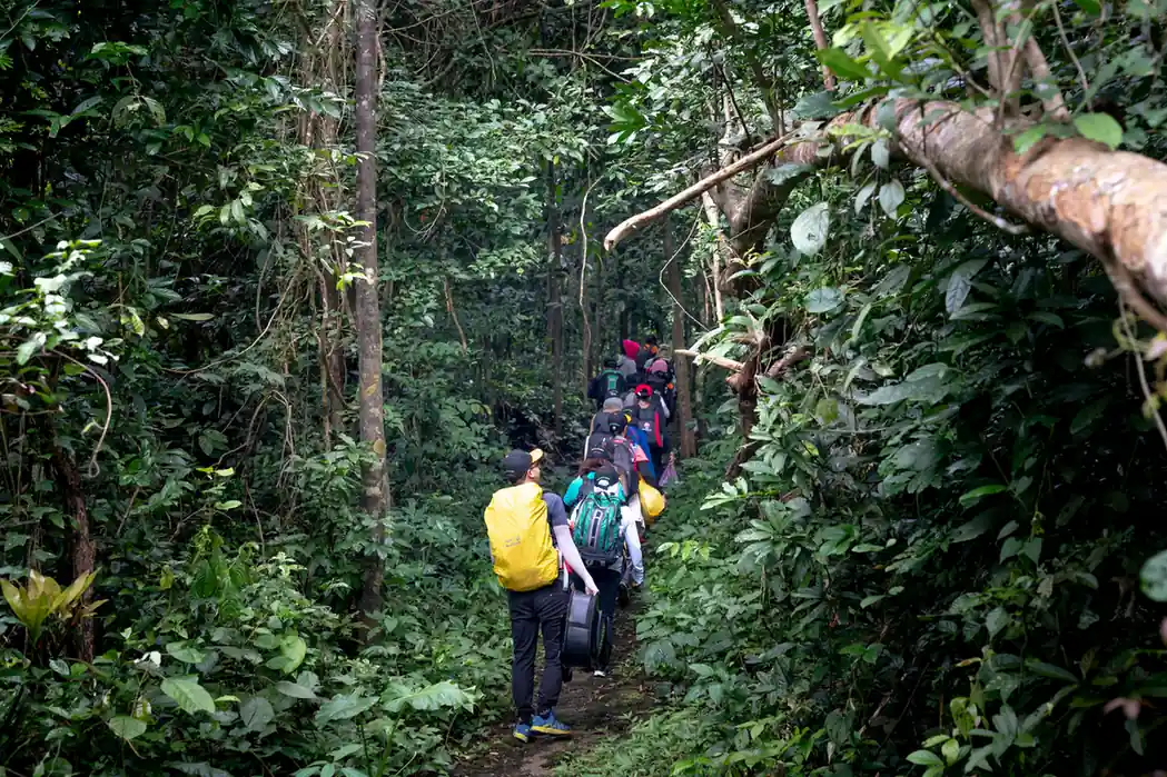 August – Best for Rainforest Treks