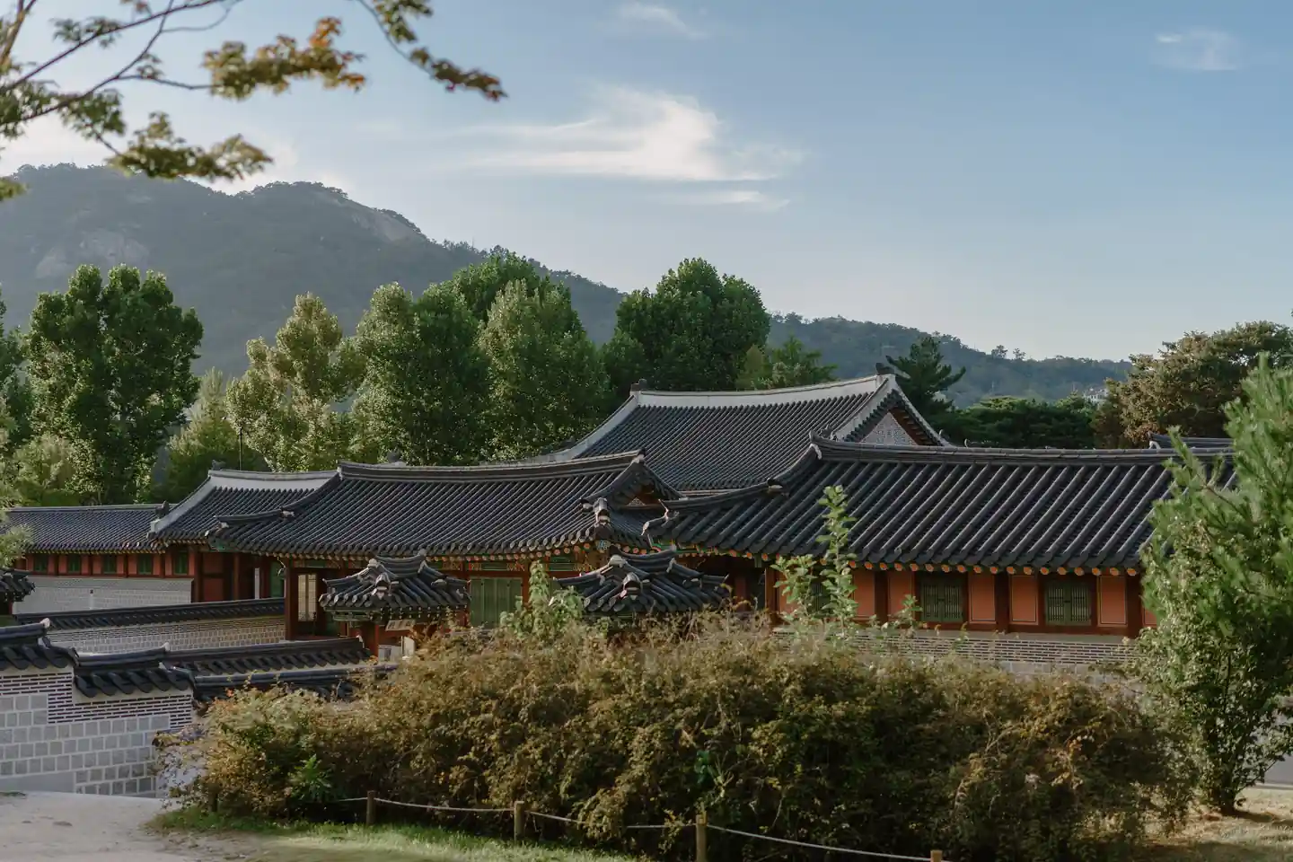 Experience a Traditional Korean Bathhouse - things to do in South Korea