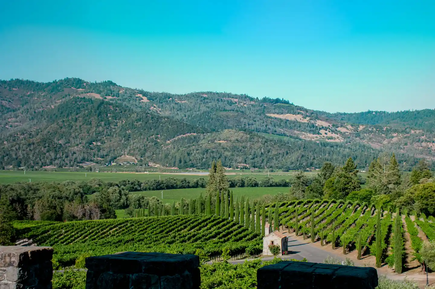 Go Wine Tasting in Napa Valley