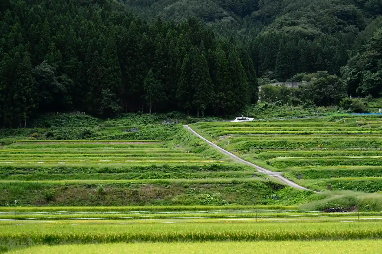Nikko National Park