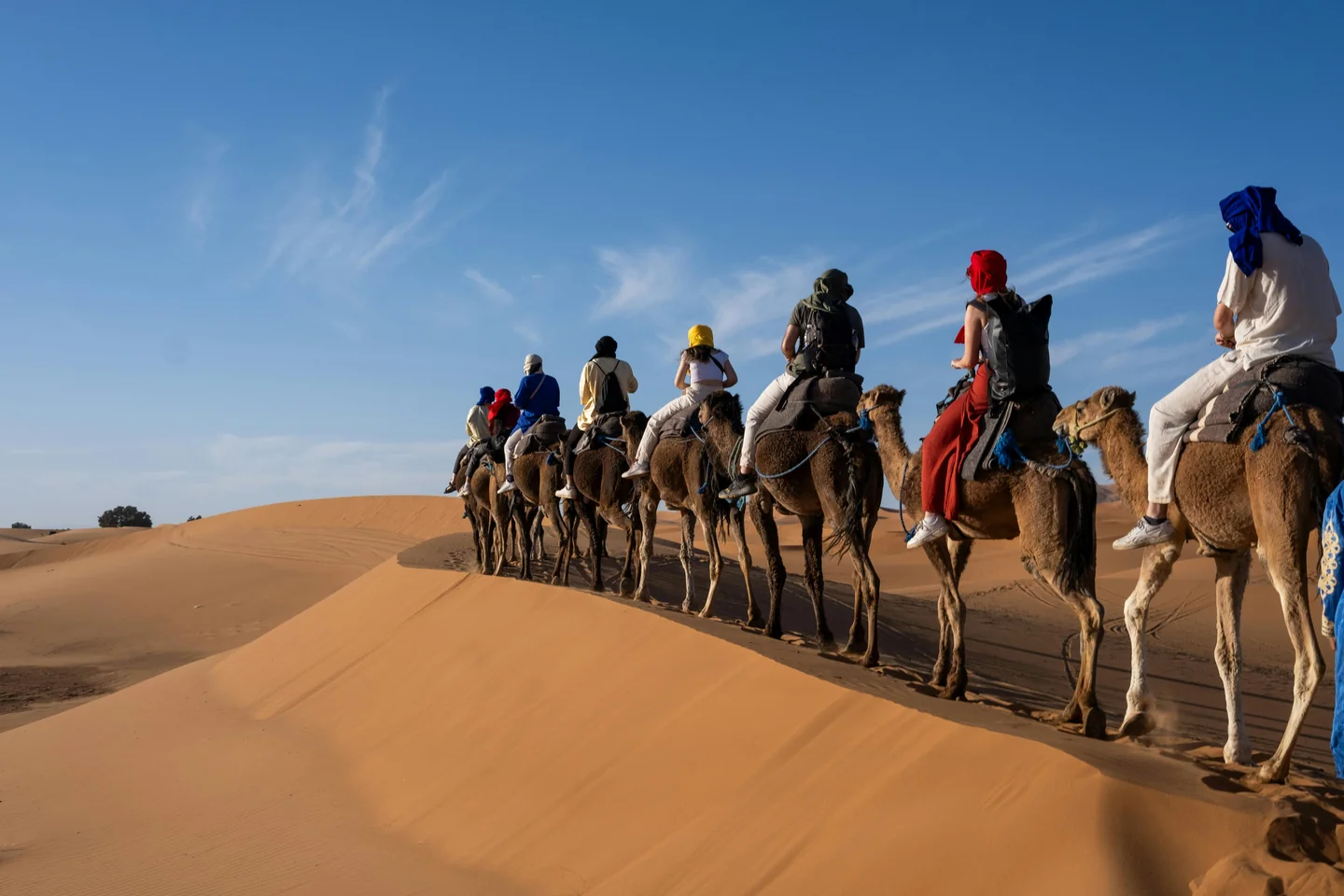 Tozeur – A Gateway to the Sahara