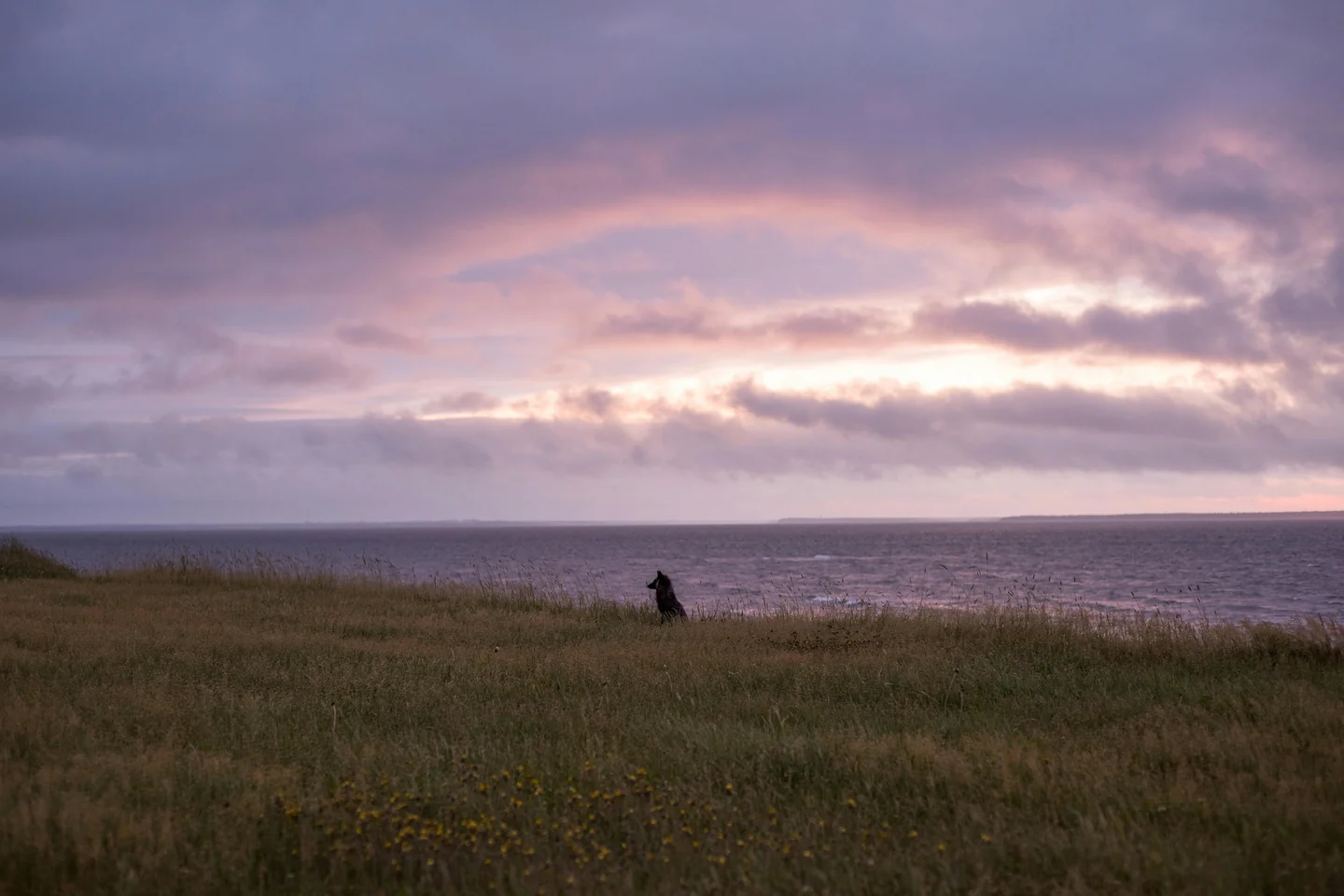Atlantic Winds, Prince Edward Island