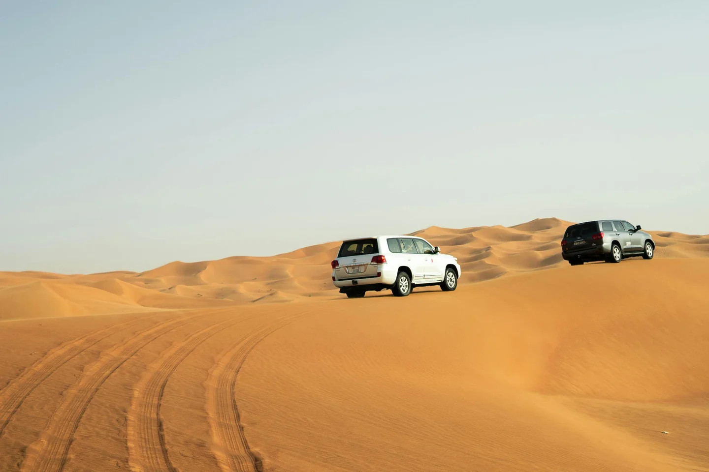 Dubai Desert Safari – A Taste of the Wild