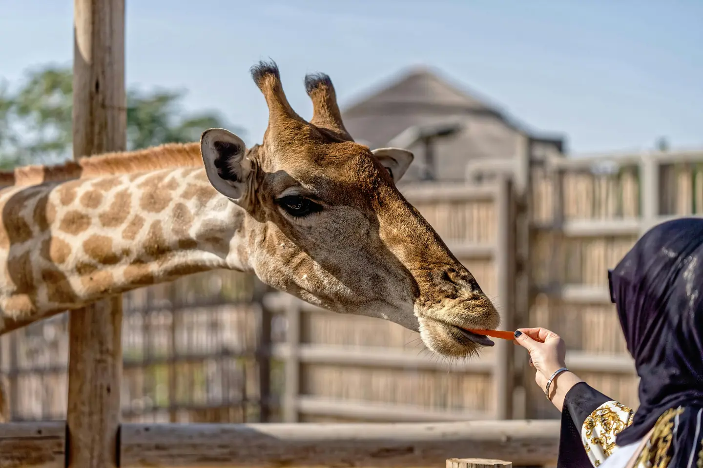 Fun Activities for Kids in Dubai