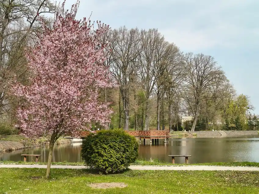8. May Park and Nurigeli Lake - Places to Visit in Batumi Georgia