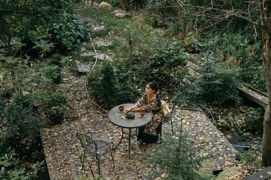 Tea Gardens