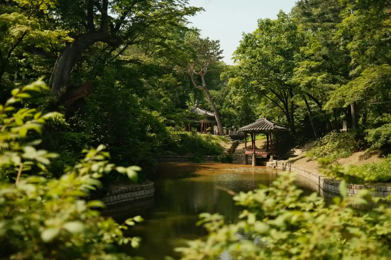 Changdeokgung Palace & Secret Garden
