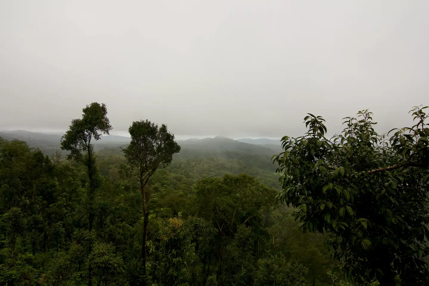 Chelavara Falls – The Unexplored Beauty of Coorg