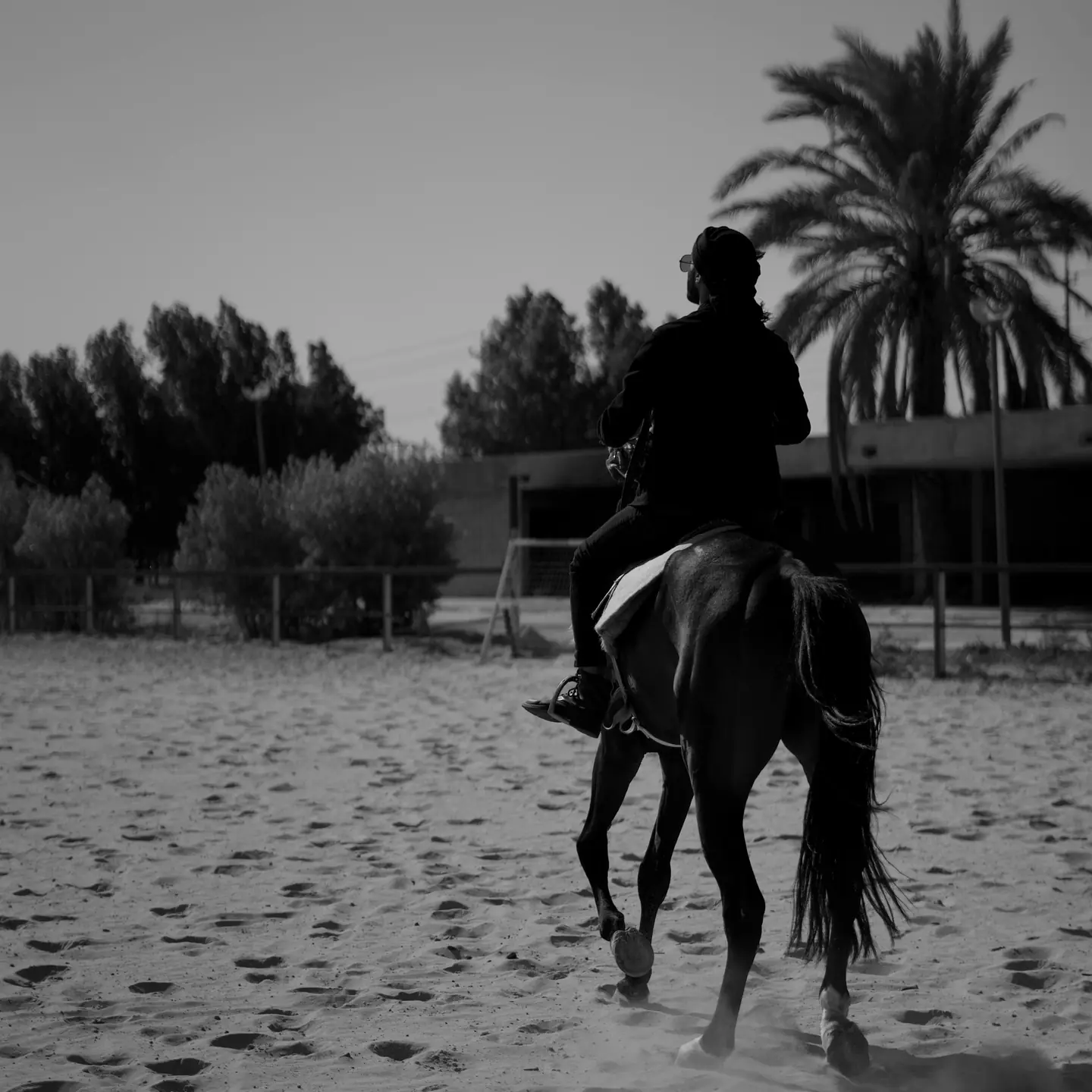 The Desert Palm Riding School