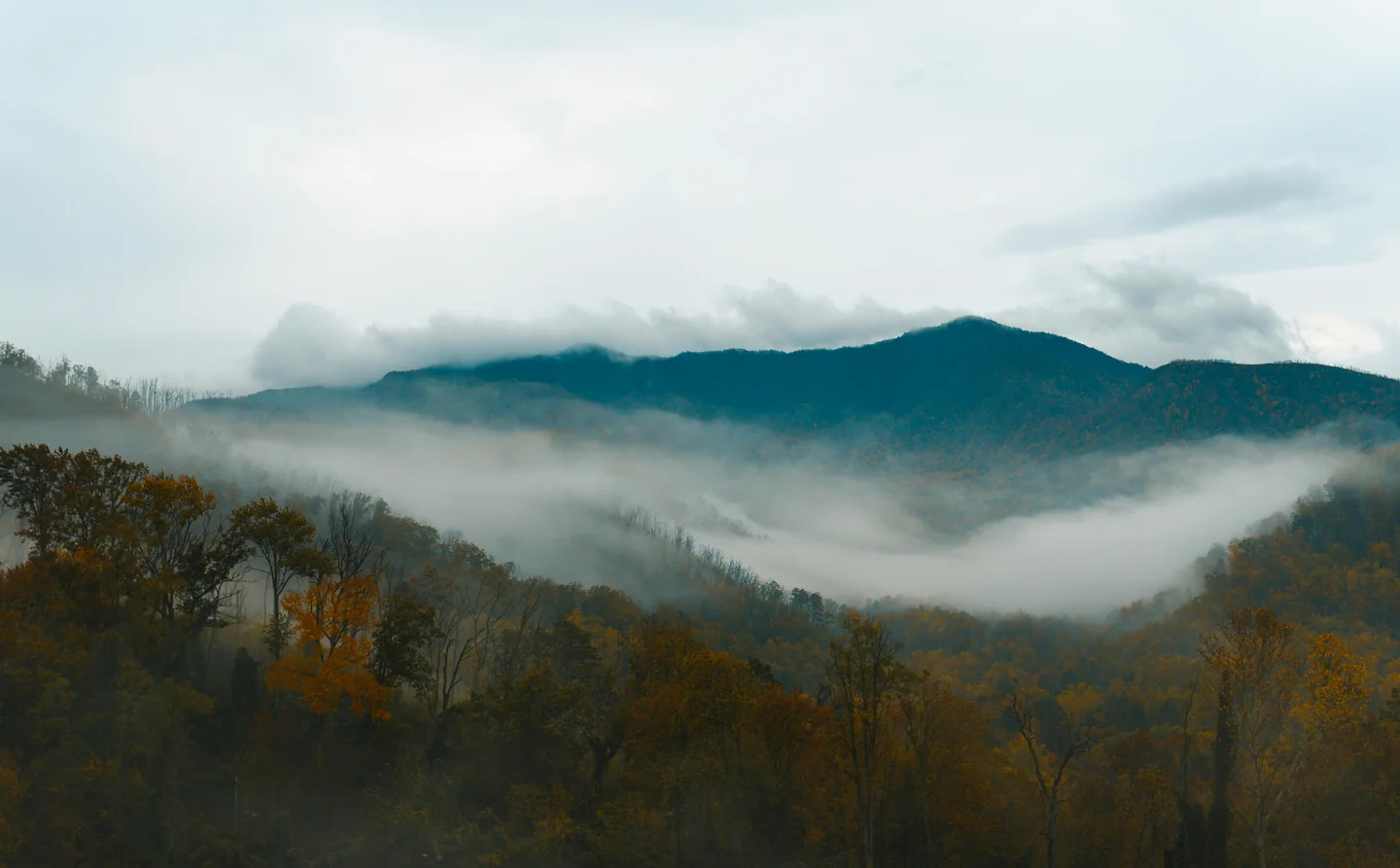 A nature retreat in The Great Smoky Mountains