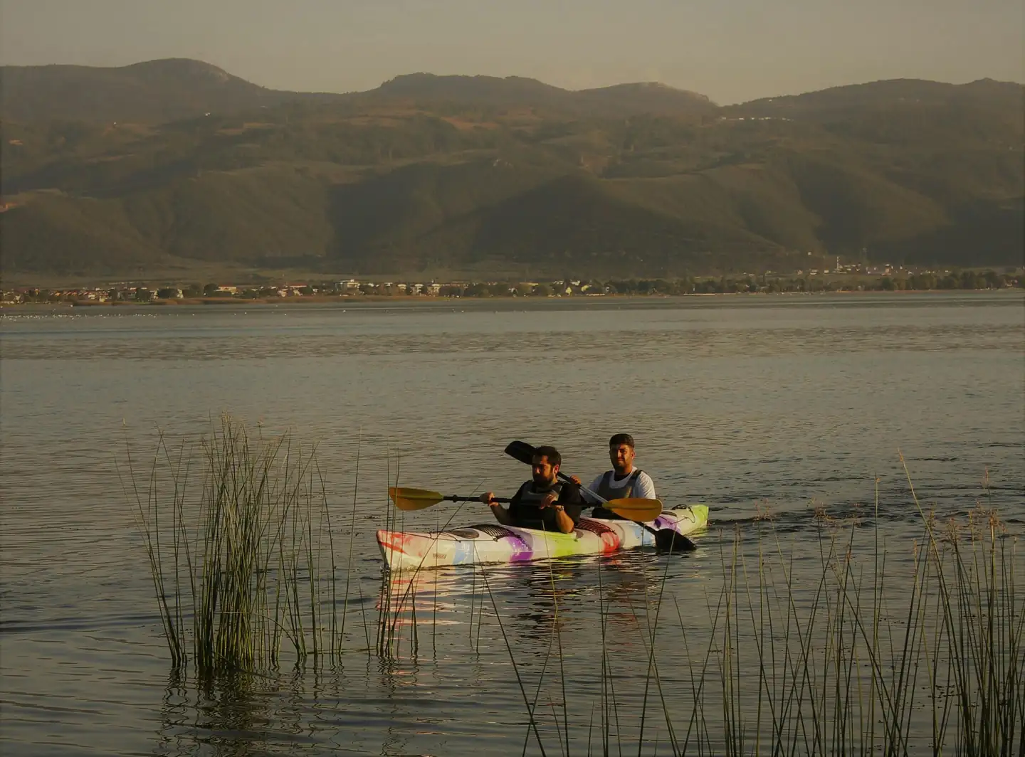 Activities in USA